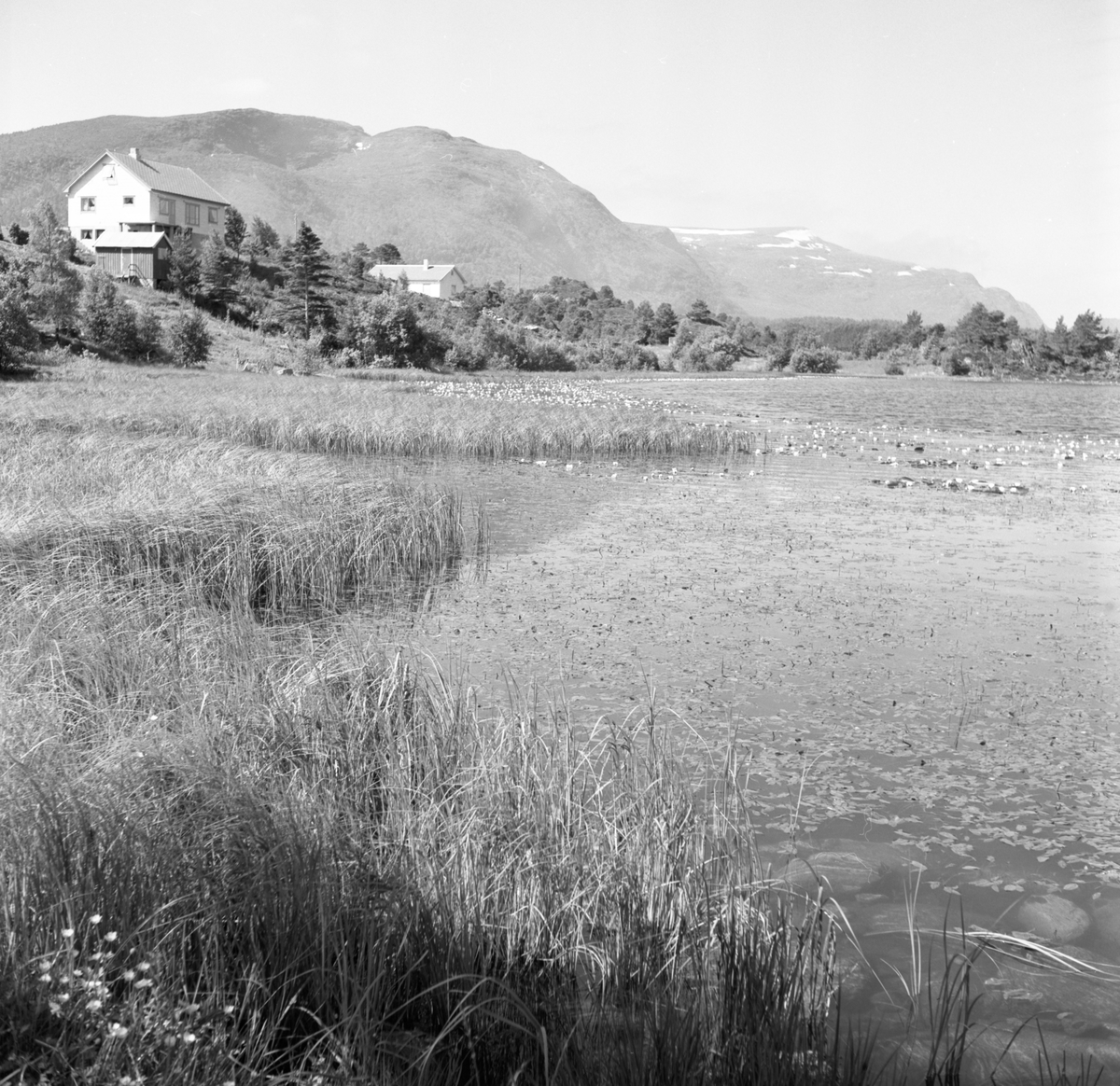 Prospektfotografi av to hus ved Endrevatnet på Sula.