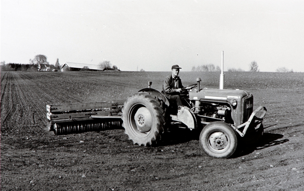 Hjermstad gard, g.nr. 86, b.nr.1.Stange. Våronn, tromling, traktor, Odd Hjermstad.