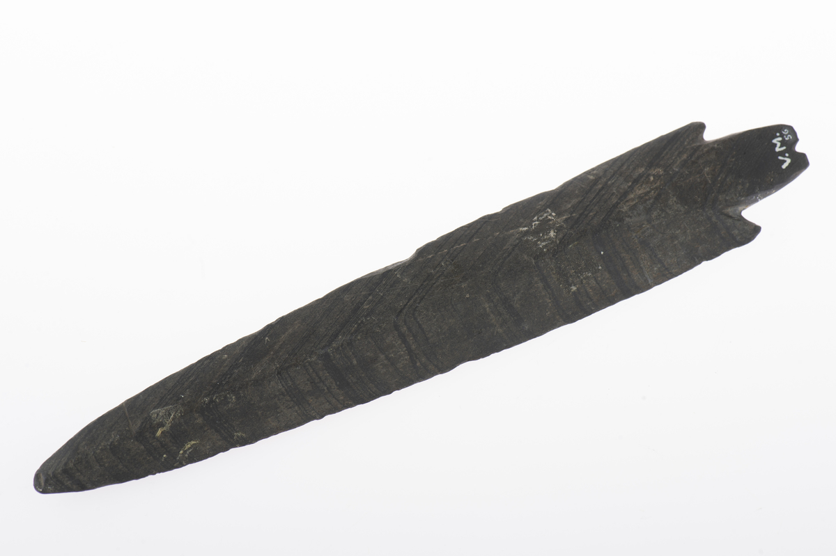 Skifferspjutspets, av den bredbladiga typen, med hullingar och tånge. I tångens bakände ett inhak.