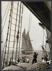 Gladan och Falken till sjöss