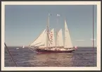 Färgfotografi av en tremastad segelfartyg till sjöss från babordssidan. Bilden togs antagligen under Tall Ships race i Göteborg 1968.