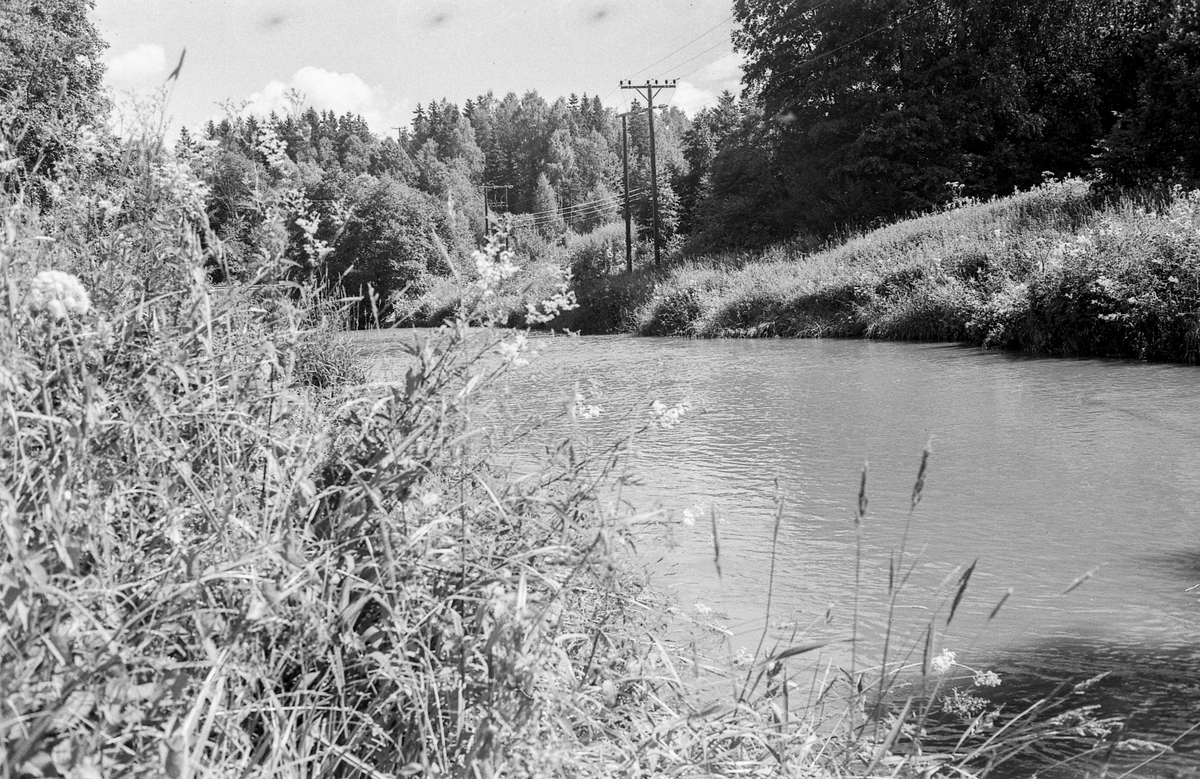 Divererse motiver fra Hølen. Skøyen kolonial. Hølenselva med småbåter og fine sommermotiver. Bro over Tegnebyholtet. Stasjonsmesteren eller postmesteren.
Fotograf: ØB Ukjent