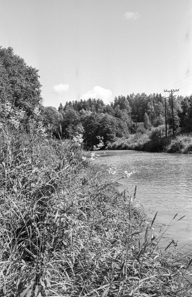 Divererse motiver fra Hølen. Skøyen kolonial. Hølenselva med småbåter og fine sommermotiver. Bro over Tegnebyholtet. Stasjonsmesteren eller postmesteren.
Fotograf: ØB Ukjent