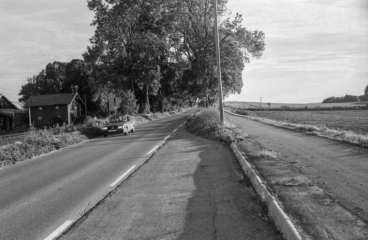 Naturbilder fra Kongeveien og Årungen i Nordby i Ås.