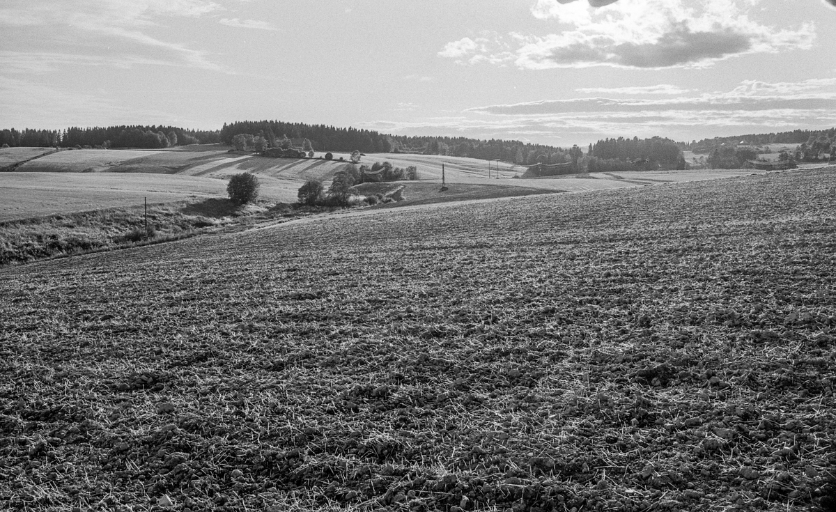 Naturbilder fra Kongeveien og Årungen i Nordby i Ås.