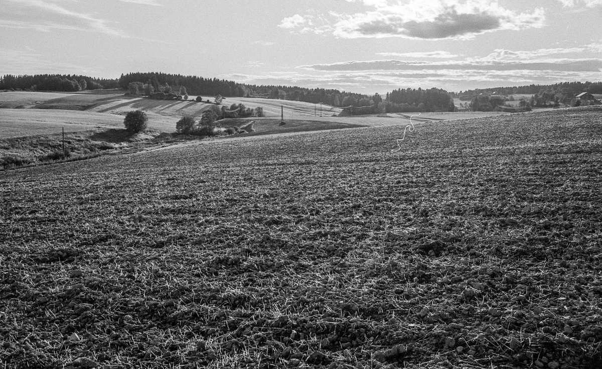 Naturbilder fra Kongeveien og Årungen i Nordby i Ås.