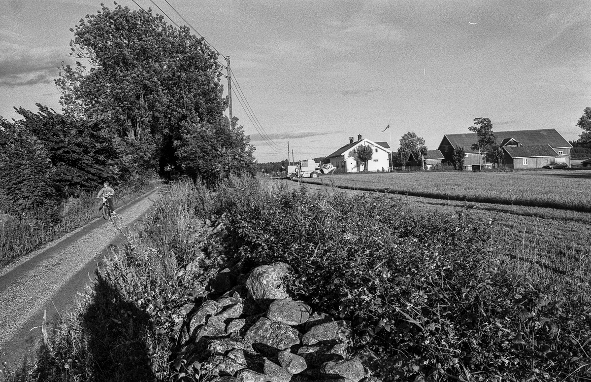 Naturbilder fra Kongeveien og Årungen i Nordby i Ås.