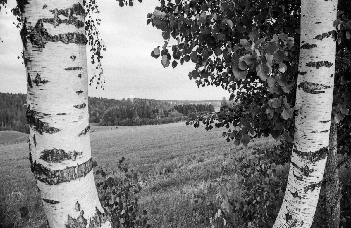 Kroer-landskap ved kirken, området er innenfor flystøy-sonen hvis hovedflyplassen blir i Hobøl.