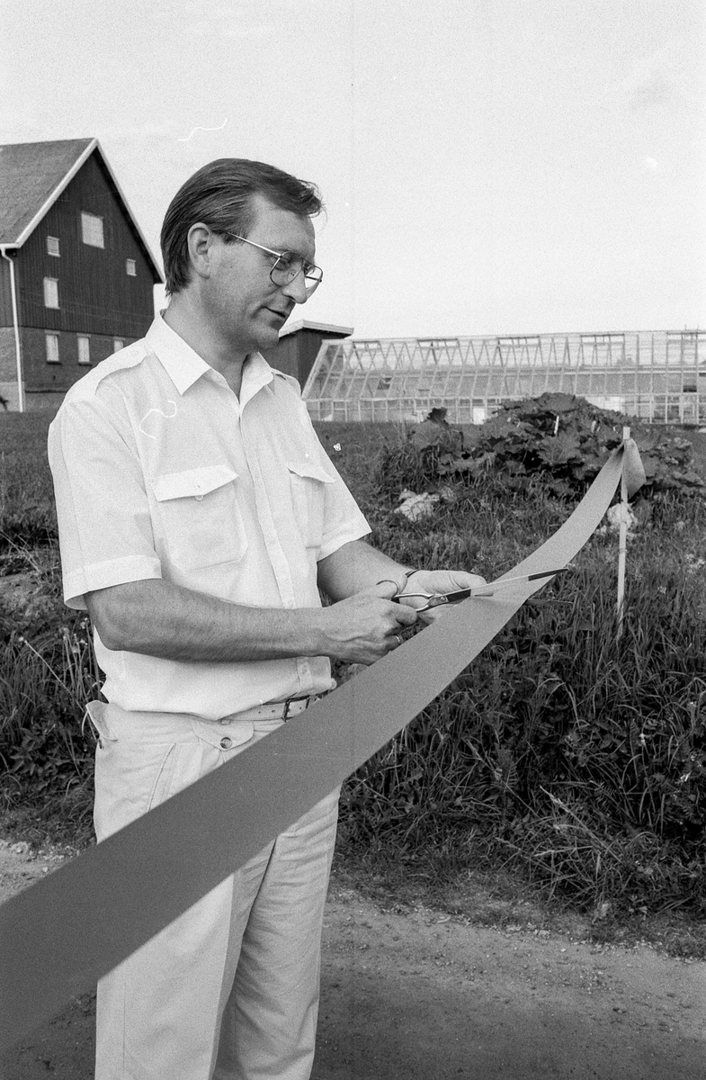 Kultursti åpnet i Nordby. Ordfører Johan Alnes kipper over båndet. Thorbein Gamst (tv) og Thorbjørn Nilsen, begge medlemmer av Nordby Rotary klubb sto bak prosjektet.