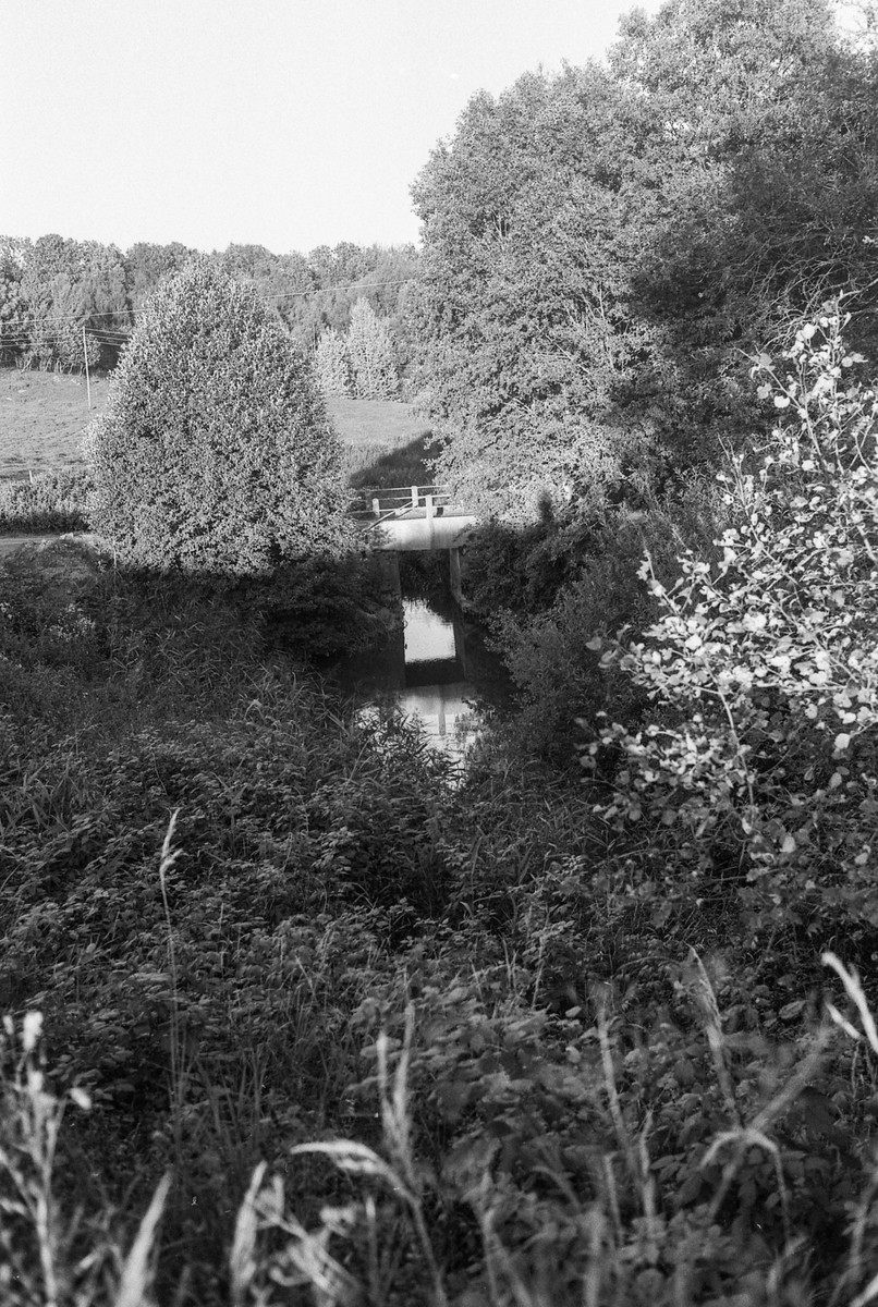 Naturbilder fra Kongeveien og Årungen i Nordby i Ås.