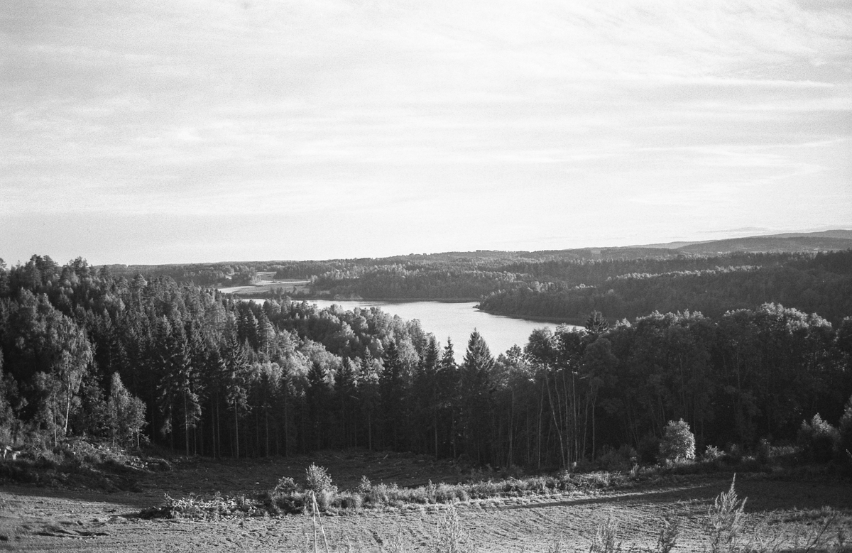 Naturbilder fra Kongeveien og Årungen i Nordby i Ås.