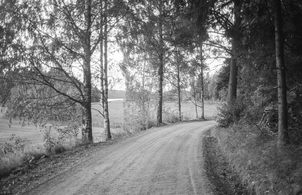 Naturbilder fra Kongeveien og Årungen i Nordby i Ås.