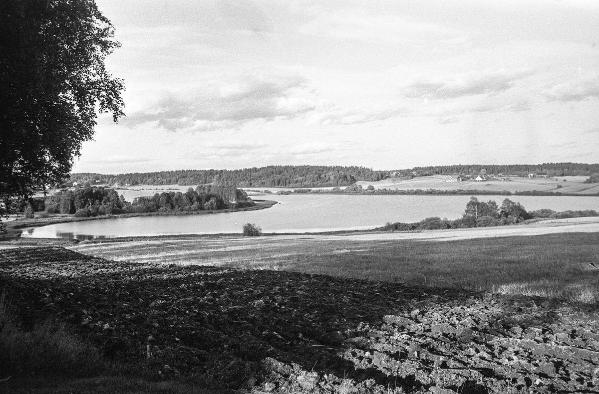 Naturbilder fra Kongeveien og Årungen i Nordby i Ås.