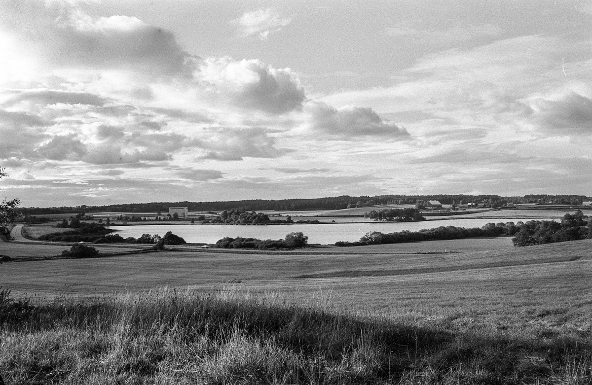 Naturbilder fra Kongeveien og Årungen i Nordby i Ås.