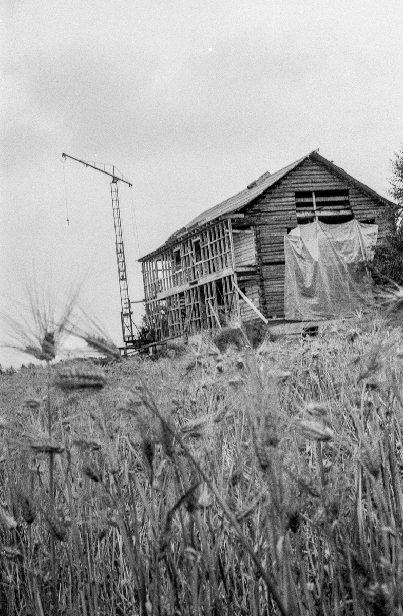 Heer gård, tømmerbygning, gjenreises ved Heer-dammen, nord for stedet den var.
Fotograf: ØB Gjærum