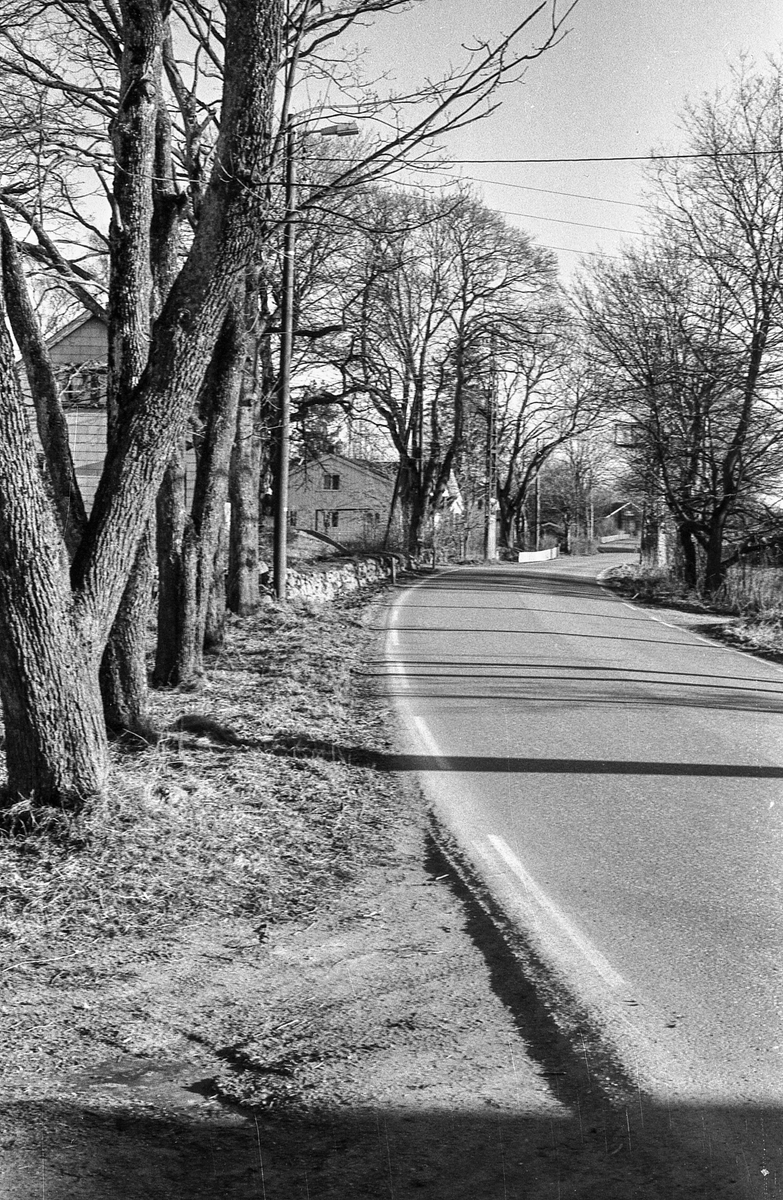 Kongeveien i Ås gjennom Nordby fra Landbrukshøyskolen, Ås kirke og Riisallene til Nordby. Under dalsbroen. Husmannsplassen Egge, like sør for Melby. Vidar Aasheim tv. og Erik Aas jr. i mørk vinterfrakk.