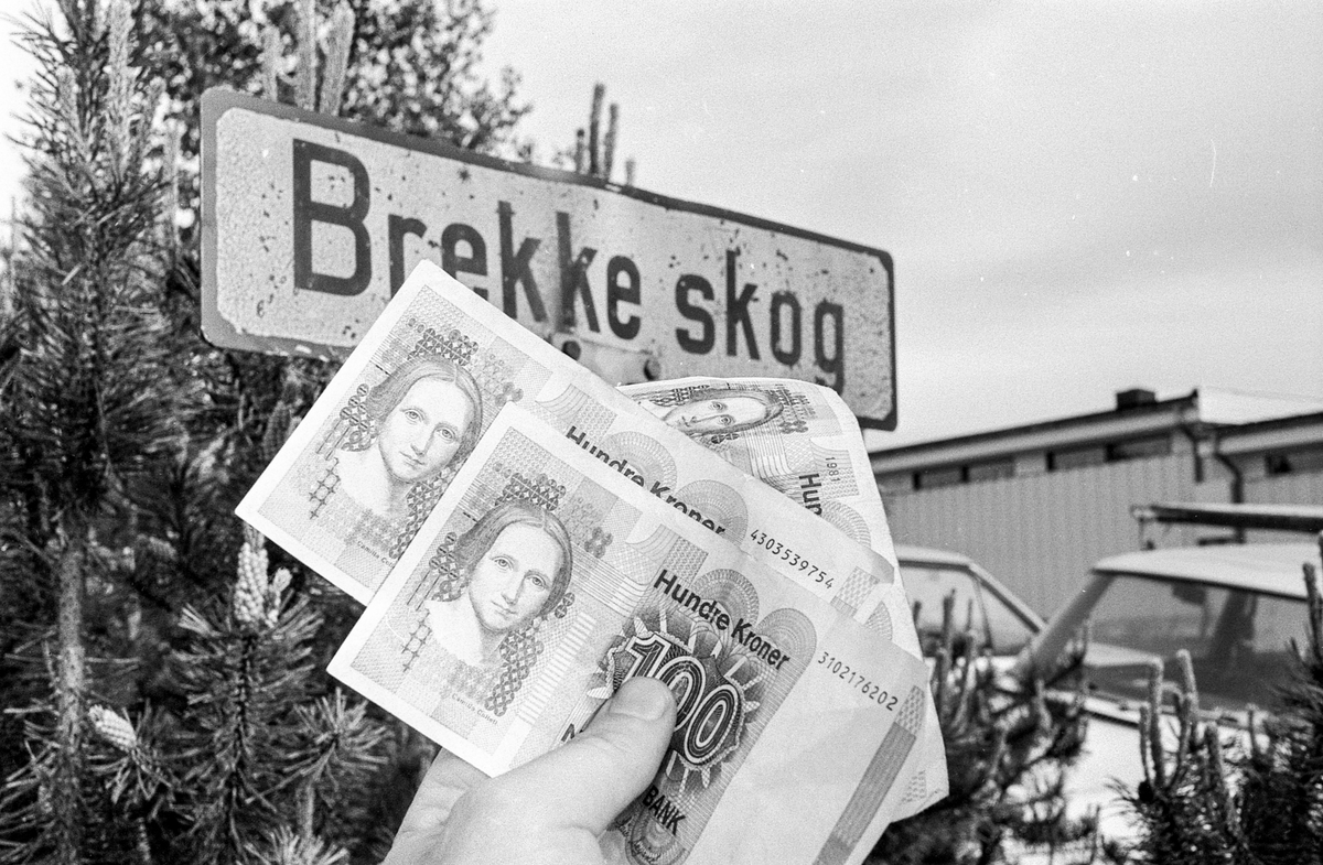 Brekkeskog borettslag. Ås boligbyggelag har fremsatt erstatningskrav mot lagets tidligere revisor på nærmere 200.00. Brekkeskog borettslag er en av de skadelidende.