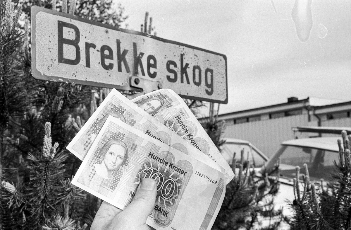 Brekkeskog borettslag. Ås boligbyggelag har fremsatt erstatningskrav mot lagets tidligere revisor på nærmere 200.00. Brekkeskog borettslag er en av de skadelidende.