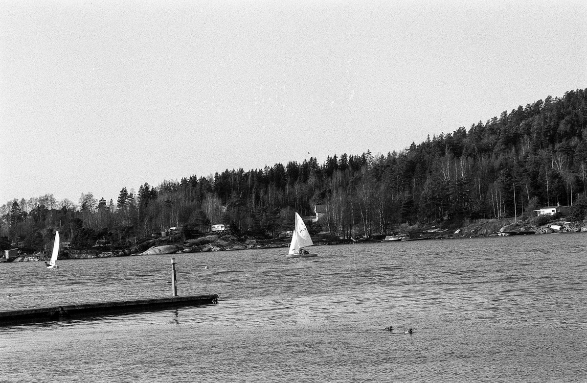 Laksa i Son. Fred. Olsen har utbyggingsplaner klar.