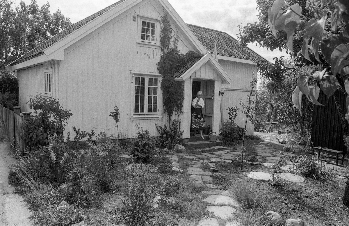 Kunstnerhjemmene i Son. 
Thornegården fra 1629, her holdt maleren Oluf Wold-Torne til (1867-1919). 
I Villa Holland ved Kugrava holdt Søren Onsager til (1878-1946).
I huset Pjåken holdt dramatikeren Nils Kjær til (1870-1924).
Brødrene Bjarne (1882-1970) og Sigurd Eriksen (1884-1976) og Alf Løvberg (1899-1986) holdt også til i Son.