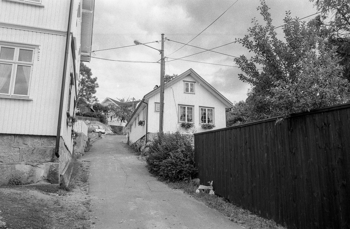Kunstnerhjemmene i Son. 
Thornegården fra 1629, her holdt maleren Oluf Wold-Torne til (1867-1919). 
I Villa Holland ved Kugrava holdt Søren Onsager til (1878-1946).
I huset Pjåken holdt dramatikeren Nils Kjær til (1870-1924).
Brødrene Bjarne (1882-1970) og Sigurd Eriksen (1884-1976) og Alf Løvberg (1899-1986) holdt også til i Son.