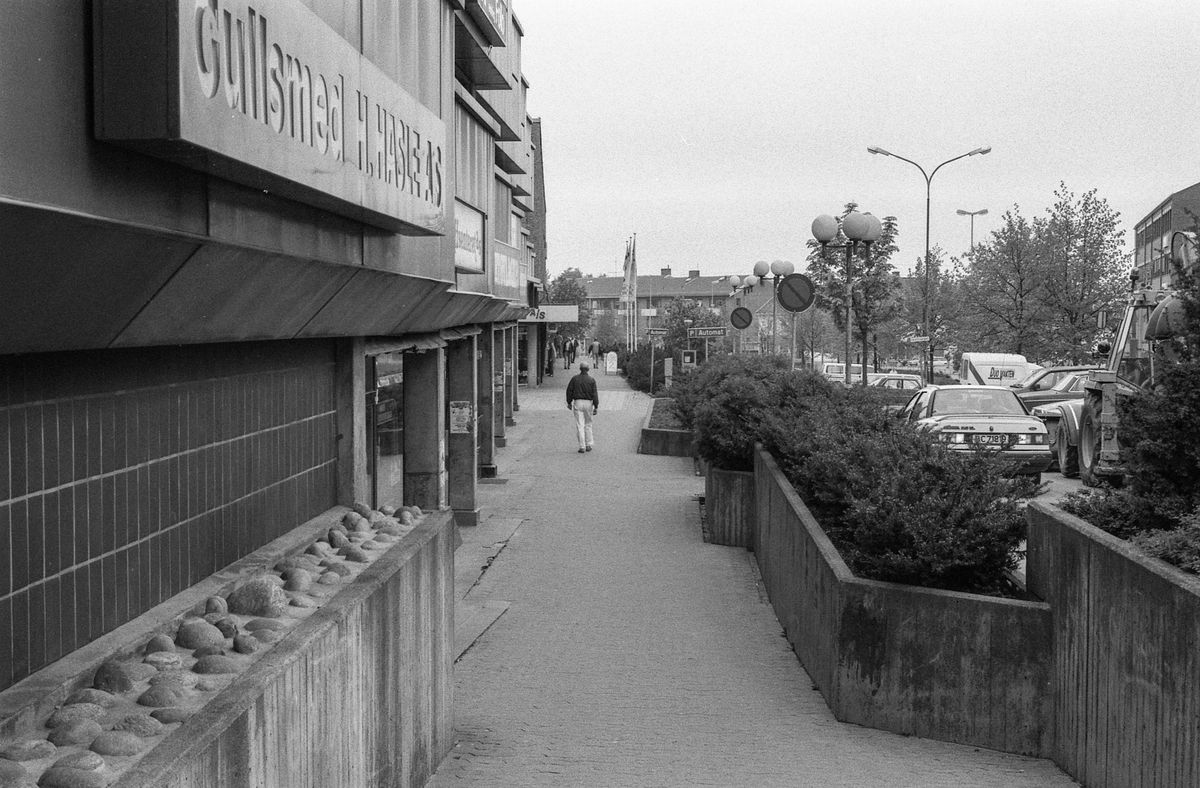 Diverse steder fra Ski sentrum. Jernbaneveien, Ski stasjon med undergangen, trapp til spor 2 og 3. Drosjebua, Elise Brekkebutikken. Inngangen til ØB. Rådhuset med plassen foran.
Fotograf: ØB Skole-elev