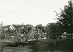 Kolbäck sn.
I förgrunden trädgård med blommande fruktträd.