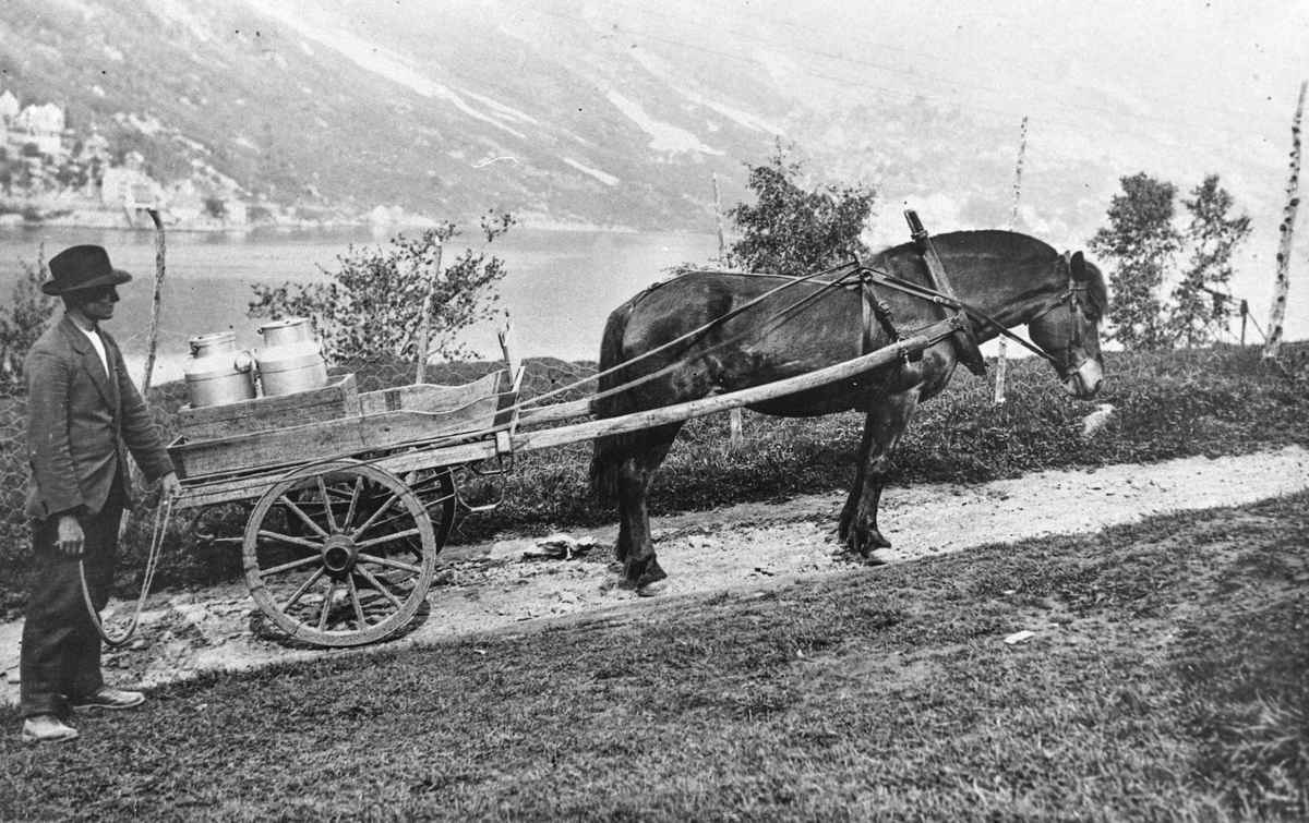 Hest og kjerre transporterer mjølkespann heim til Freim.