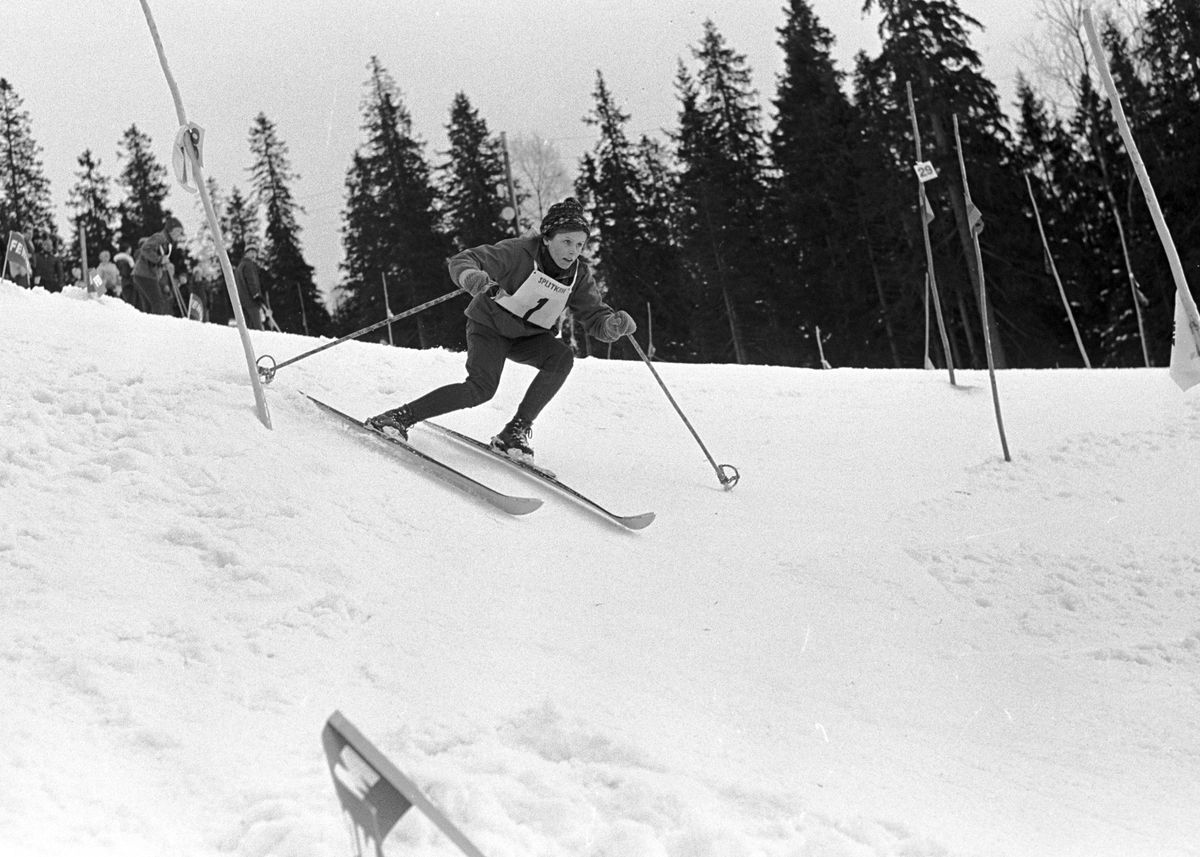 En slalåmkjører på vei ned Rødkleiva, NM slalåm junior Fotografert 8. mars 1964.