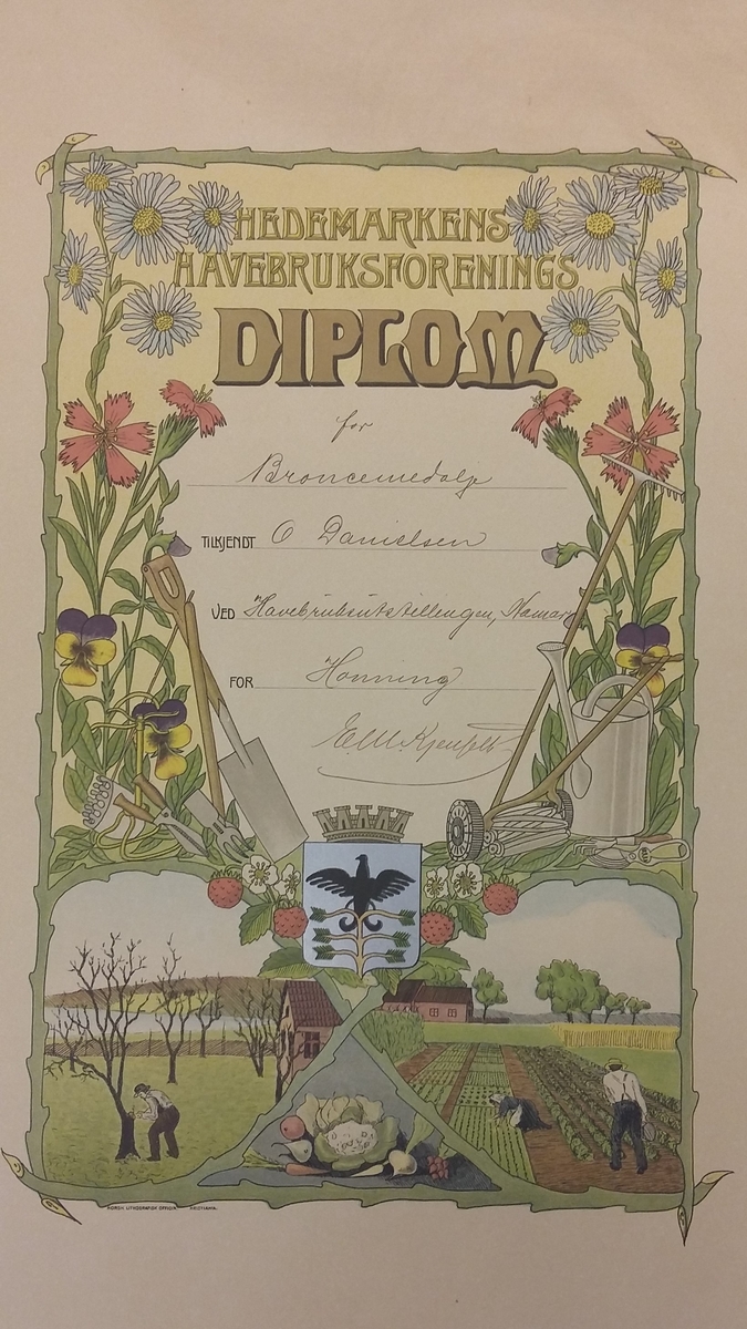 Diplom