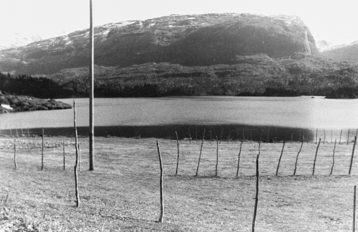 Hesjer ved Løyningsvatnet på Løyning.