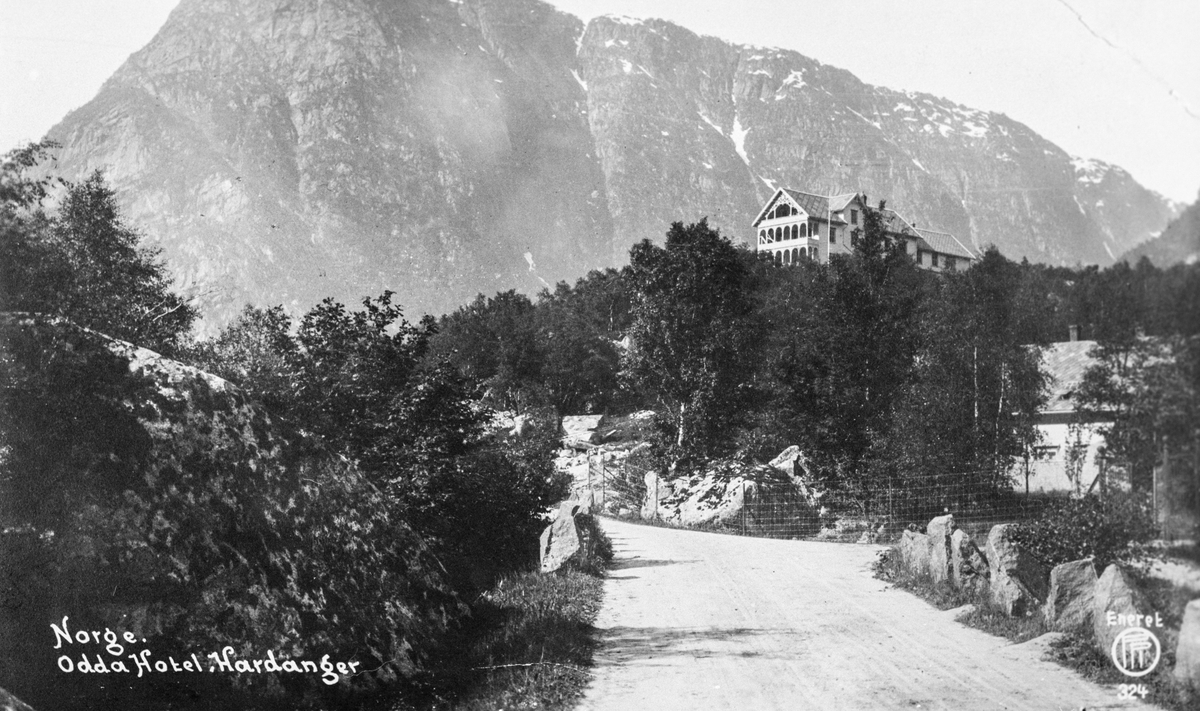 Vikinghaug hotel i Hovden.