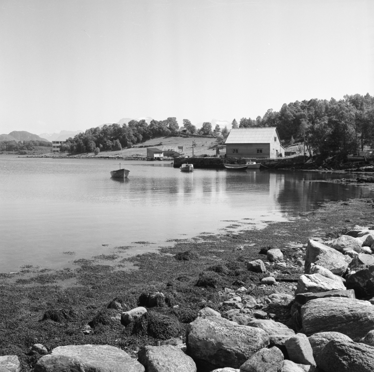 Prospektfotografi av strandlinje med naust og driftsbygninger på Sula.