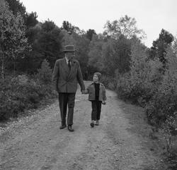 En bildeserie av en mann og en gutt på spasertur langs en ve