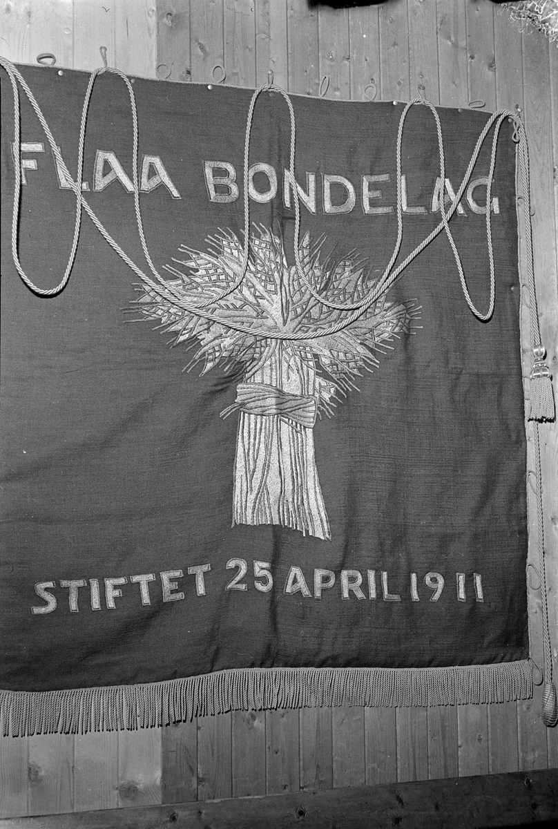 Bygdefolkets ungdomsuke