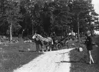 Hästspann som fotograferas av Gustaf Askberg, Gottsunda kvarn, Uppsala sannolikt 1887