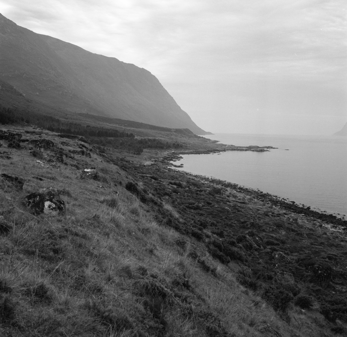 Prospektfotografier i serie av Kalvestad-marka på Sula. På noen av motiva er det spor etter tidligere bebyggelse.