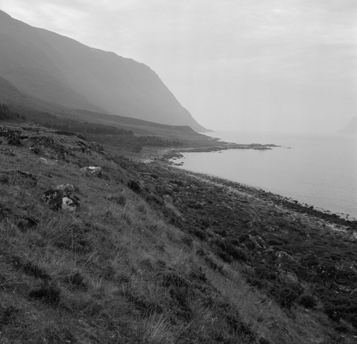 Prospektfotografier i serie av Kalvestad-marka på Sula. På noen av motiva er det spor etter tidligere bebyggelse.