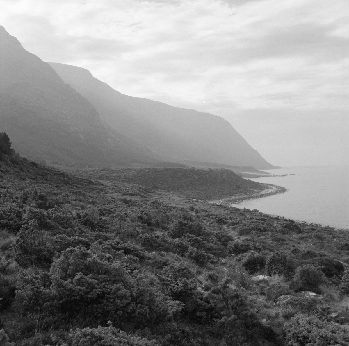 Prospektfotografier i serie av Kalvestad-marka på Sula. På noen av motiva er det spor etter tidligere bebyggelse.