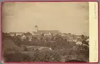 Tidigt panorama över Linköping. Centralt ses stiftets domkyrka som den tog sig ut på 1870-talet. Det så kallade Hårlemanska tornet tillkom vid en omfattande ombyggnad av kyrkan under åren 1847-1858. För ombyggnadens ritningar stod arkitekten Carl Hårleman. Under en genomgripande ombyggnad under åren 1877-1886 kom kyrkan att kraftigt omdanas och i stora drag erhålla sitt nuvarande utseende. I förgrunden breder Trädgårdsföreningens odlingar ut sig.

Anm: Det finns skäl att anta att Hilda Düring här återanvänt fotografiet från faderns (Frans Dyring) produktion.