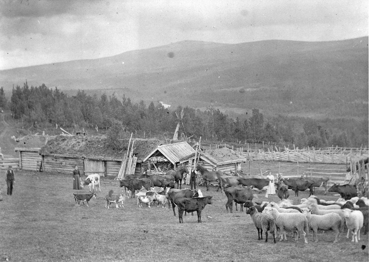 Eggengvollen, Langsetra, Vingelen