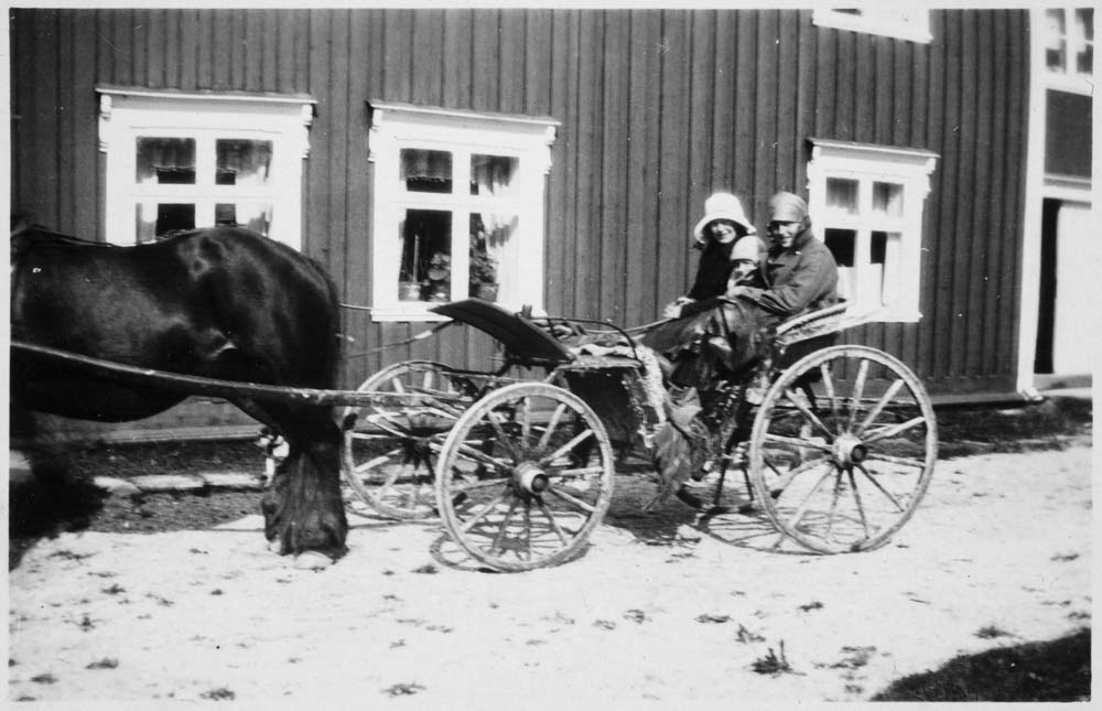 Personer med hest og vogn. Kanskje Mosjøen.