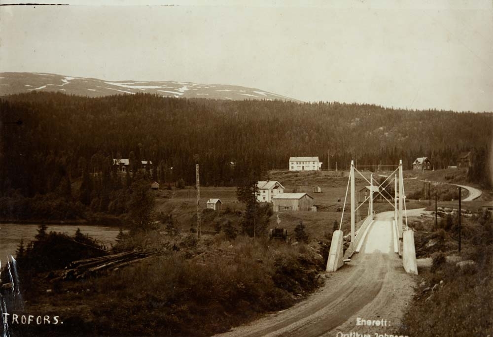 Broen på Trofors. Masse skog.