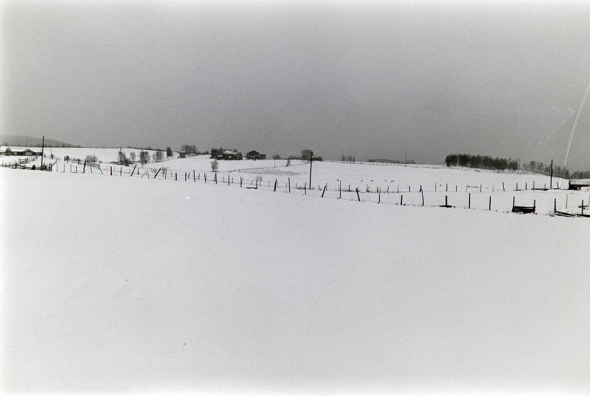 Vingelen, Tolga. Vinterlandskap.