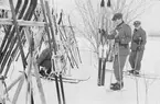 Vid skidstället vid Svenska frivilligkåren i Finland, F 19. Tre militärer med skidor.