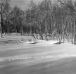 Båtar i snö vid strand vid Svenska frivilligkåren i Finland, F 19.