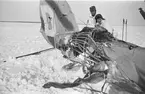 Vrak efter havererat flygplan J 8 Gloster Gladiator nr 274, märkt gul D vid Svenska frivilligkåren i Finland, F 19. Två män vid flygplanets stjärtparti.