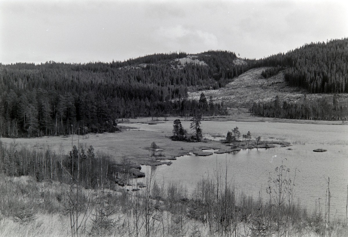 Knukdammen, Knuksjøen, Stange allmenning,
