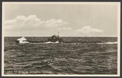 Ubåt typ " Sjölejonet, Sjöbjörnen, Sjöhunden.