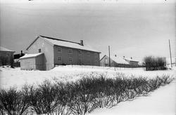 Fire vinterbilder av bygninger ved Oppland Småbruks- og Hage